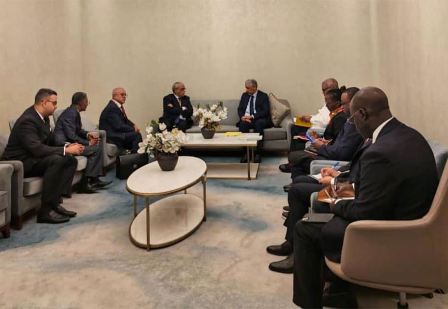 وزير الاقتصاد يبحث مع رئيس البنك الإفريقي للتنمية تعزيز التعاون